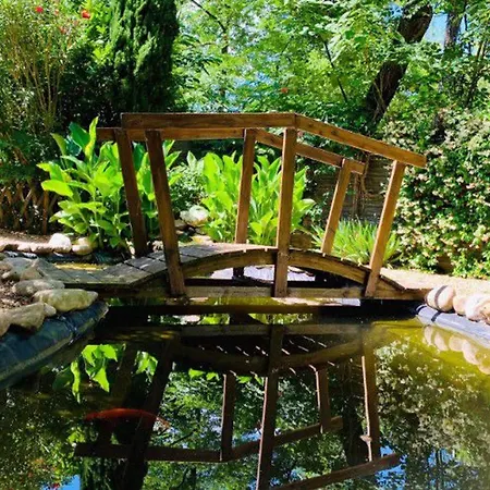 Mobil Avec Terrasse Pour 6 Personnes - Api-1-52-397 *