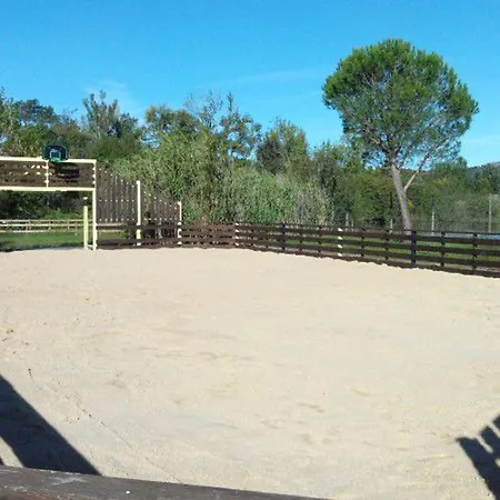 Camping Mobil Avec Terrasse Pour 6 Personnes - Api-1-52-397